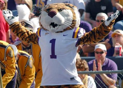 My results - - | Lsu mascot, Lsu, Lsu tigers