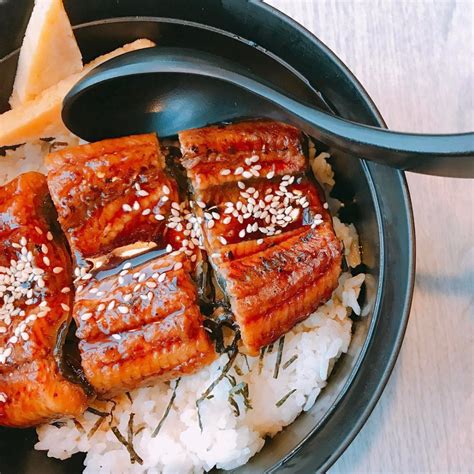 10 Unagi Don Below $20++ For Days You ... Japanese Kitchen, Japanese ...