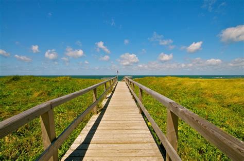 18 photos of Sylt island in Germany, and its rich island biodiversity