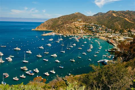 What to Do and Eat and Where to Stay on Catalina Island