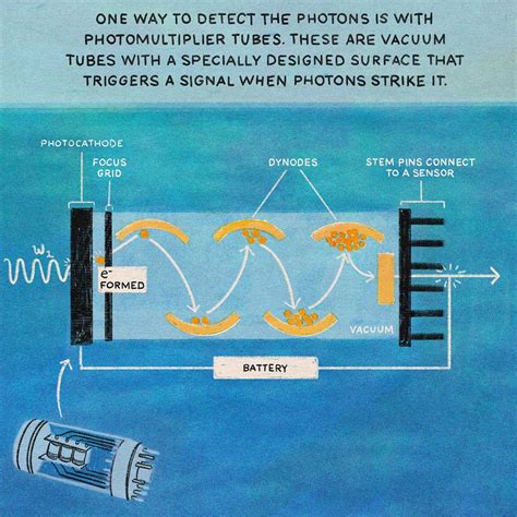 Quantum Experiments: How Quantum Physics Experiments Are Done - Caltech Science Exchange