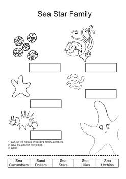 Assignments on Seastar anatomy and simple marine life labeling activities