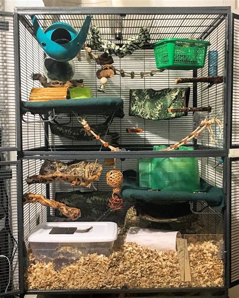 Jessica, Mother of Dragons on Instagram: “TADA! My “naturalistic” rat cage! It is complete with ...