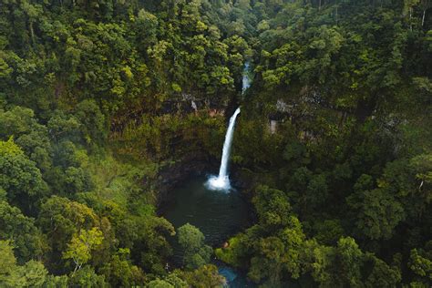 Best Waterfalls On The Atherton Tablelands | Cairns & Great Barrier Reef