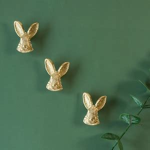 Rabbit Brass Door Knobs for Cabinet Wardrobe Cupboard Drawer - Etsy