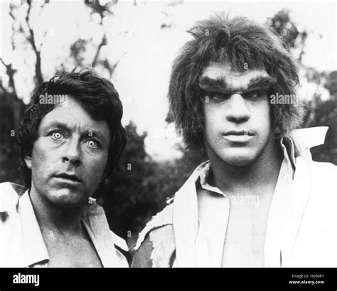 THE INCREDIBLE HULK, (from left): Bill Bixby, Lou Ferrigno, 1978-82. © Universal Television ...