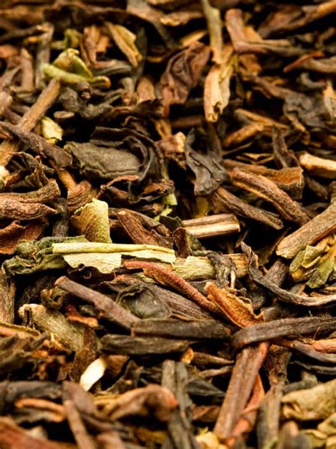 Exploring the Culture of Darjeeling Tea: The Pride of India's Tea Culture