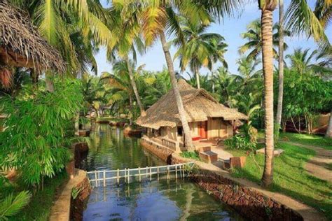 8 Best Resorts in Kerala with Private Pool in 2024 (With Pricing)