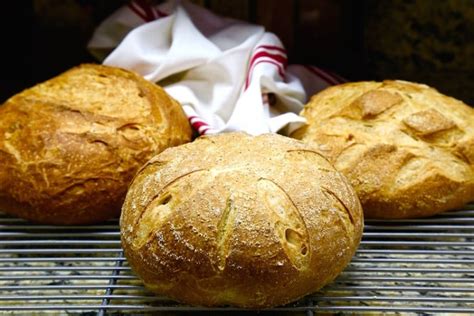 A Traditional San Francisco Sourdough Bread Recipe {Organic and GMO-Free} - Whole Lifestyle ...