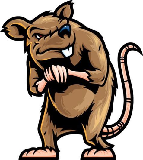 angry rat clipart 10 free Cliparts | Download images on Clipground 2024