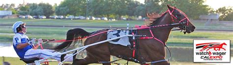 Cal Expo – Harness Racing