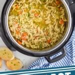 Instant Pot Chicken Noodle Soup - Simple Joy