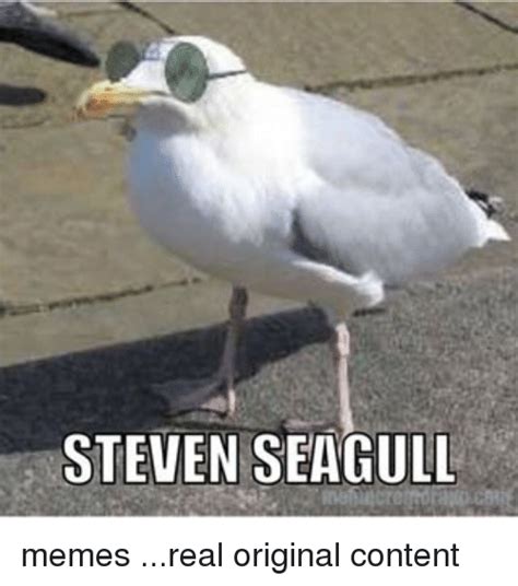 seagull memes | Memes, Seagull, Funny