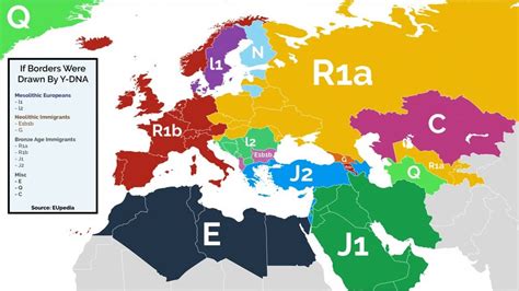 If Europe Borders Were Drawn by Y-DNA : europe