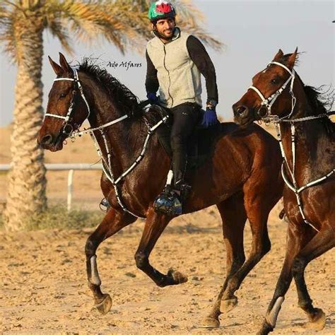 Prince of Dubai Fazza riding this beautiful horse | Animals I love | Pinterest | Beautiful ...