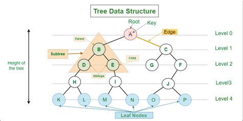 Introduction to Binary Tree - Data Structure and Algorithm Tutorials ...