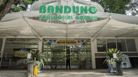 Bandung Info Gaya | Bandung In One Click | Asal Mula Berdirinya Kebun ...