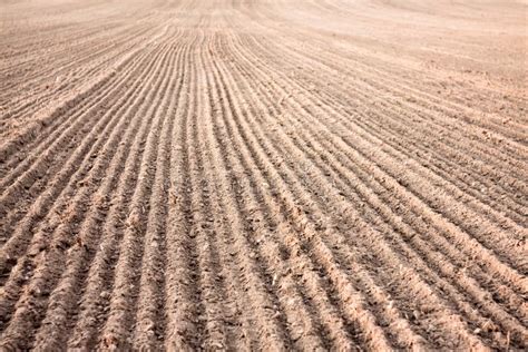 Furrows in a Field after Plowing it Stock Image - Image of environment, lines: 37008589