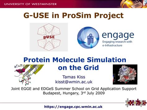 PPT - Protein Molecule Simulation on the Grid PowerPoint Presentation ...