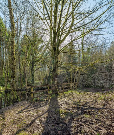 Lough Key Forest Park: An example of unblemished beauty.