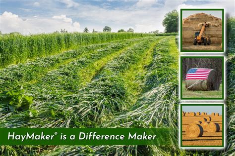 Hay Maker® Benefits for Pastures & Grasses! | Organic Labs®