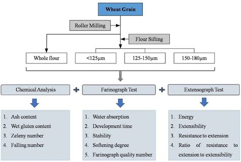 Schematic diagram of experimental design. | Download Scientific Diagram