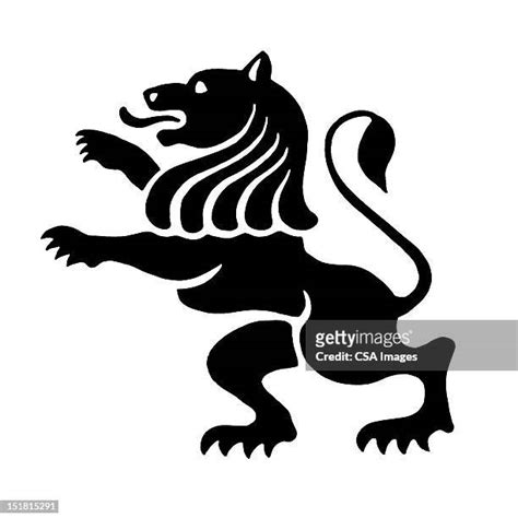 Lion Roar Black And White Photos and Premium High Res Pictures - Getty ...