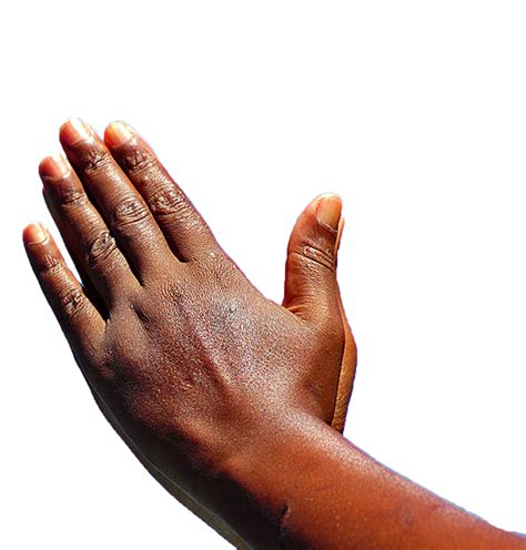 Praying Hands Prayer African American God - praying png download - 977*1024 - Free Transparent ...