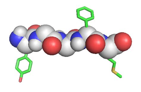 Enkephalin