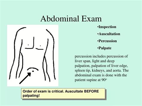 PPT - Abdominal Exam PowerPoint Presentation - ID:1184734