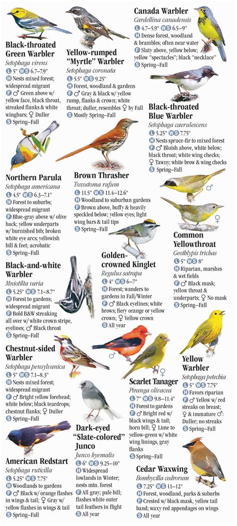 Birds of New England – Quick Reference Publishing Retail