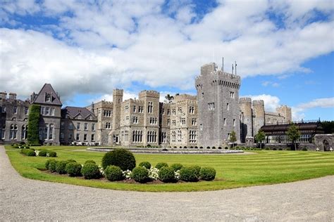 ashford-castle-falconry.jpg