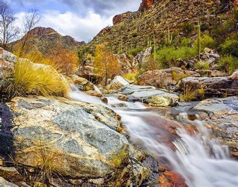 Tucson Hiking | Explore Tucson & Southern Arizona On Trails | Tucson hiking, Seven falls ...