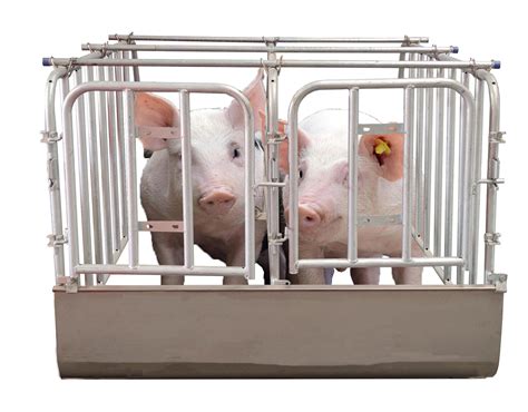 Galvanized Cages Gestation Stall Or Insemination Stall for Sow - Buy Pig breeding equipment ...