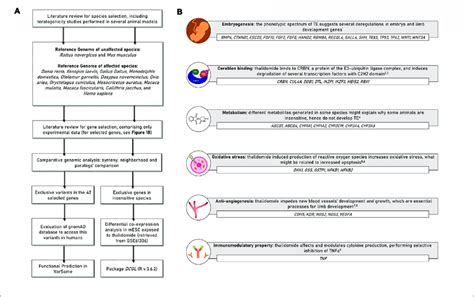 | (A) Scheme presenting the study delineation and analyses. (B)... | Download Scientific Diagram