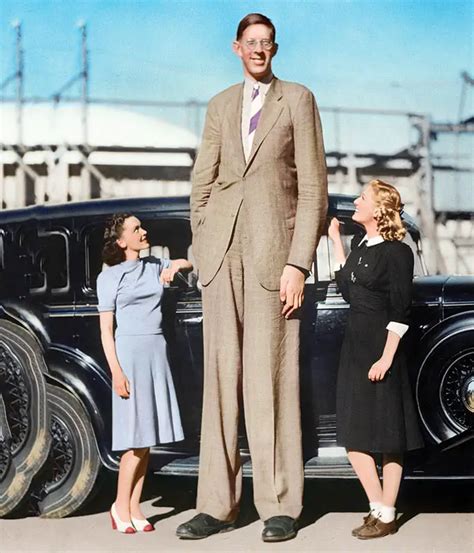 A history of record-breaking giants 100 years after the tallest man ...