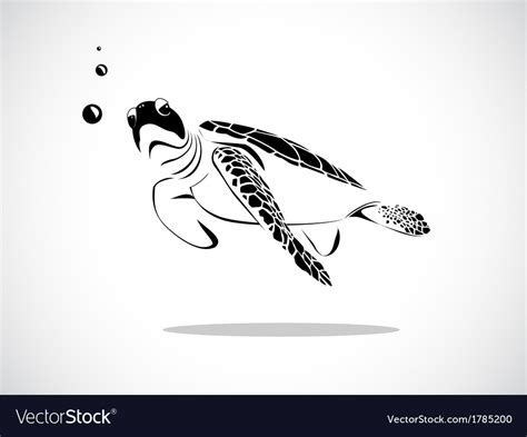 Turtle Royalty Free Vector Image - VectorStock