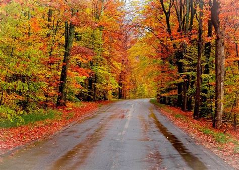 Autumn Road | Traverse city michigan, Michigan vacations, Michigan travel