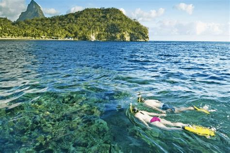 20 Best Caribbean Snorkeling Resorts For Kids | Mango Tree