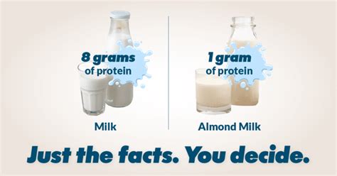 Milk Protein Facts | American Dairy Association NE