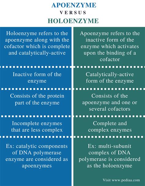 Difference Between Apoenzyme and Holoenzyme - Comparison Summary ...