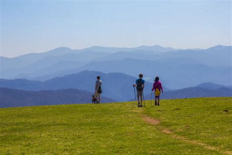 20+ Best Hiking Trails Near Waynesville NC