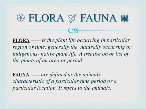 Flora and Fauna in the Philippines