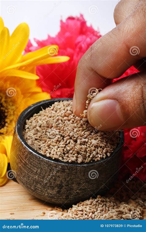 Carom seeds stock image. Image of pinch, food, carom - 107973839