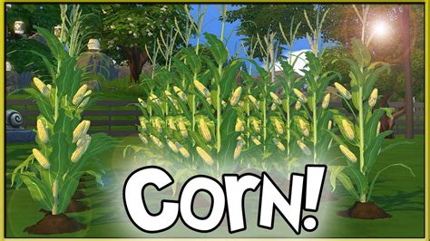 Harvestable Corn! 🌽 | The Sims 4 (Mod by icemunmun) - YouTube