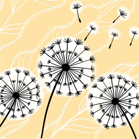 Fluffy Dandelion Illustration Free Stock Photo - Public Domain Pictures