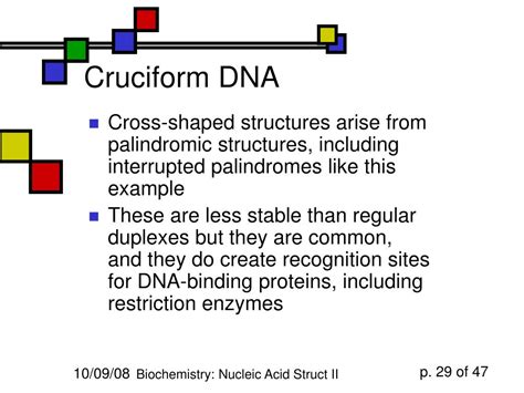 PPT - Nucleic Acid Structure II PowerPoint Presentation, free download ...