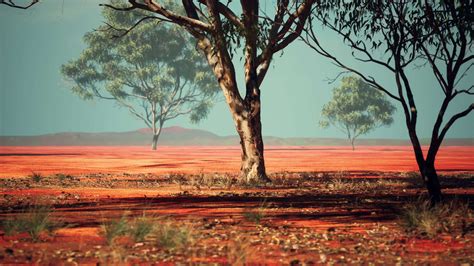 African savanna landscape with acacia trees 7550798 Stock Video at Vecteezy