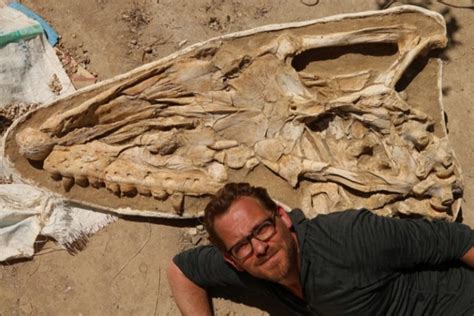 Scientists discover fossils of giant sea lizard that ruled the oceans ...