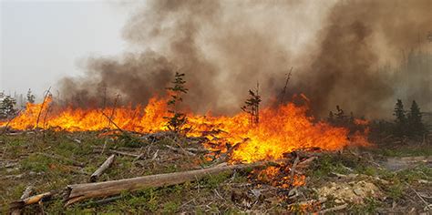 Fires In Bc Canada Today